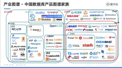 《中國數(shù)據(jù)庫行業(yè)分析報告（7月）》深度解讀 生物質(zhì)能資源數(shù)據(jù)庫信息系統(tǒng)的重磅發(fā)布與前瞻展望
